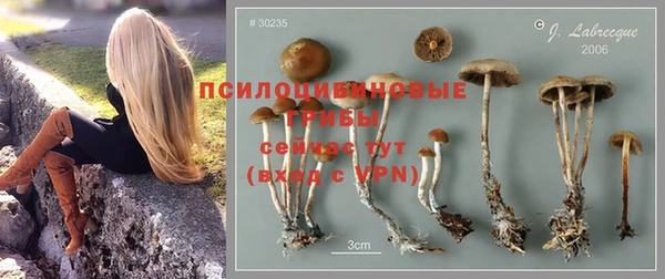 ГАЛЛЮЦИНОГЕННЫЕ ГРИБЫ Армянск